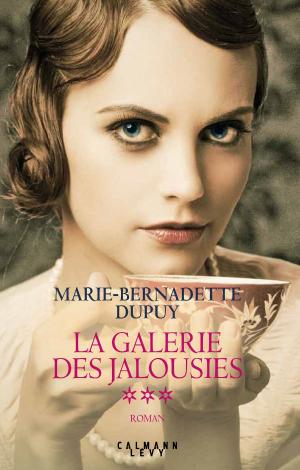 Book cover of La Galerie des jalousies T3