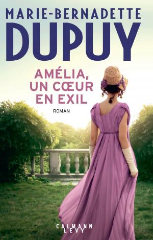 Cover of the book Amélia, un coeur en exil by Daniel Cerdan
