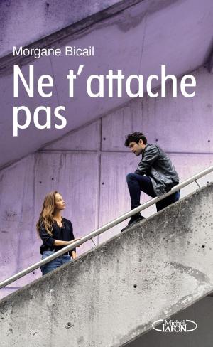 Cover of the book Ne t'attache pas by Agnes Martin-lugand