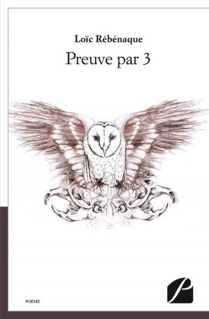 Cover of the book Preuve par 3 by Pierre Aly Soumarey