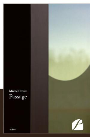 Cover of the book Passage by Brigitte Levat