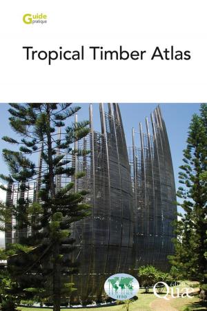 Cover of the book Tropical Timber Atlas by Jean-François Abgrall, Alain Soutrenon