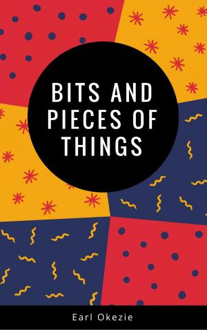 Cover of the book Bits and Pieces of Things by Jacquelyn E. Lane
