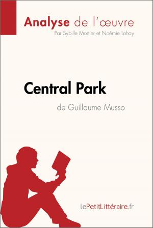 Cover of the book Central Park de Guillaume Musso (Analyse de l'oeuvre) by Marie-Eve Furnémont, lePetitLitteraire.fr