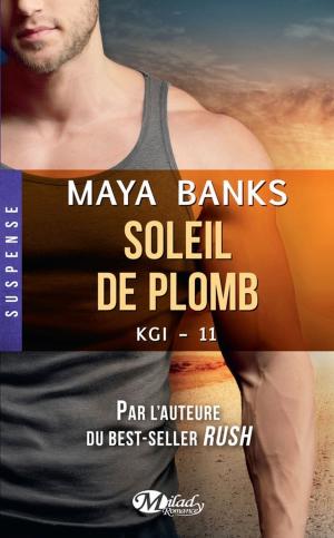 Cover of the book Soleil de plomb by Darynda Jones