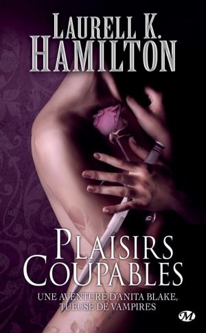 Cover of the book Plaisirs coupables by Tracy Wolff