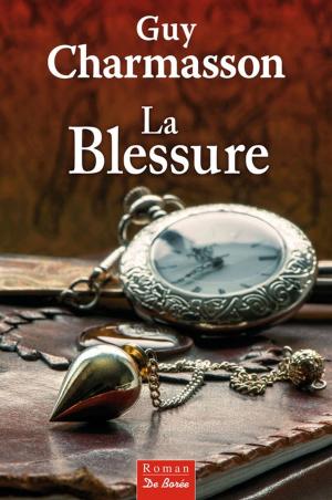 Cover of the book La Blessure by Christine Navarro