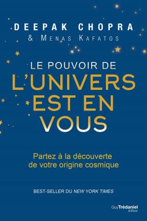 Cover of the book Le pouvoir de l'univers est en vous by Phillip Hawkins