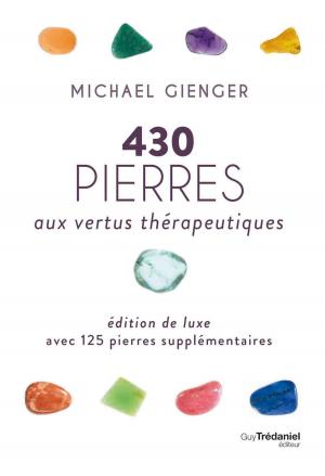 Cover of the book 430 pierres aux vertus thérapeutiques by Philippe Guillemant