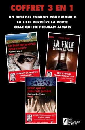 Book cover of Coffret "Noir Les Nouveaux Auteurs" 2017