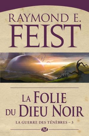 Cover of the book La Folie du dieu noir by Melissa Caruso