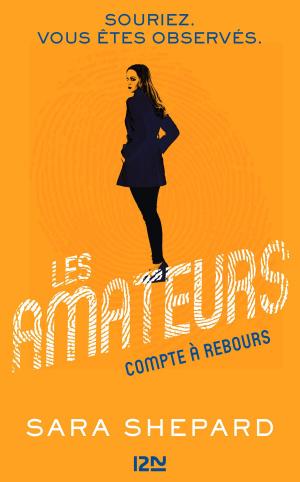 Cover of the book Les Amateurs - tome 2 by Jean-François PRÉ