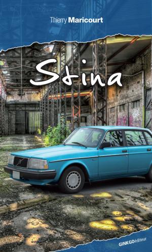 Cover of the book Stina by Jamie Aldis