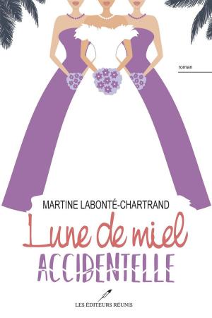 Cover of the book Lune de miel accidentelle by Ismène Toussaint
