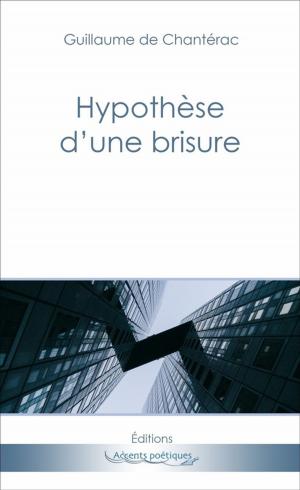 bigCover of the book Hypothèse d'une brisure by 