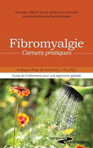 bigCover of the book Fibromyalgie, carnets pratiques by 