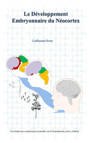 Cover of the book Le développement embryonnaire du néocortex by Dott. Valerio D'antonio