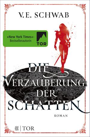 Cover of the book Die Verzauberung der Schatten by Kathrin Röggla