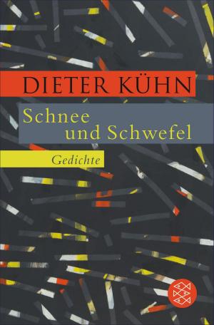 Book cover of Schnee und Schwefel
