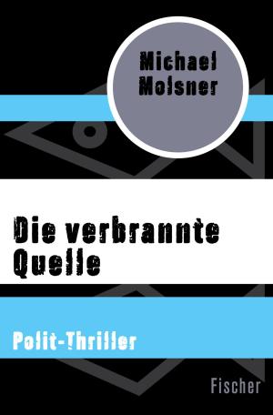 Cover of the book Die verbrannte Quelle by Hans-Christoph Blumenberg
