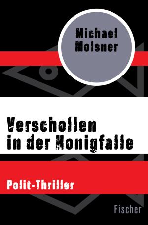 Cover of the book Verschollen in der Honigfalle by Gunnar Staalesen