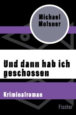 Cover of the book Und dann hab ich geschossen by Stefan Murr