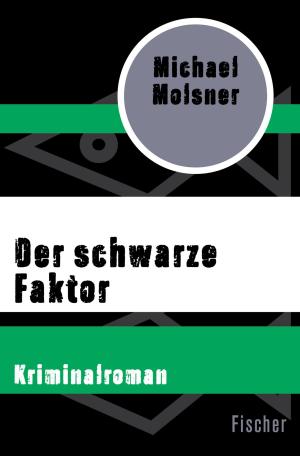 Cover of the book Der schwarze Faktor by Siegfried Rudolf Dunde