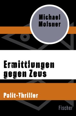Cover of the book Ermittlungen gegen Zeus by Dr. Barbara Bronnen