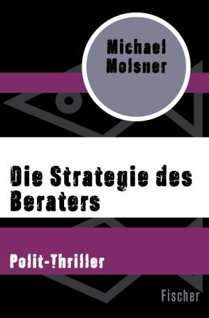 Book cover of Die Strategie des Beraters