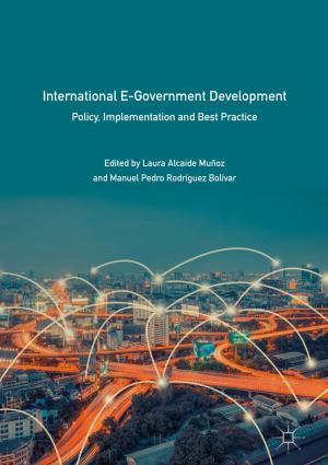 Cover of the book International E-Government Development by Robert Sobot