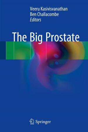 Cover of the book The Big Prostate by Khaled Salah Mohamed