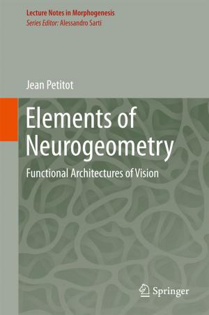 Cover of the book Elements of Neurogeometry by Xiao-Xia Yin, Sillas Hadjiloucas, Yanchun Zhang