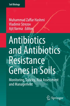 Cover of the book Antibiotics and Antibiotics Resistance Genes in Soils by Thomas J. Quirk, Simone Cummings