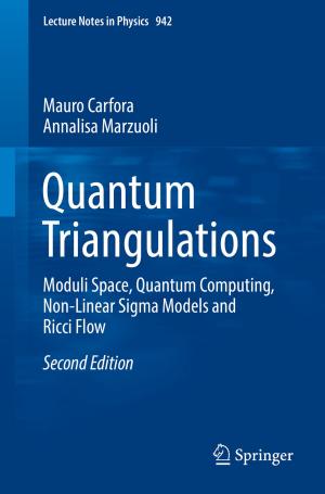 Cover of the book Quantum Triangulations by Tom Jenkyns, Ben Stephenson