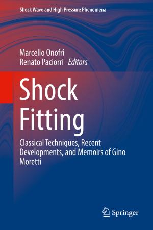 Cover of the book Shock Fitting by Emiliano Cristiani, Benedetto Piccoli, Andrea Tosin