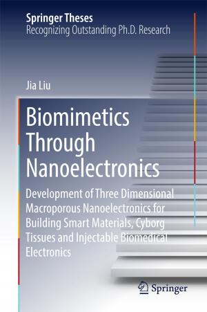 Cover of the book Biomimetics Through Nanoelectronics by G.K. Lieten