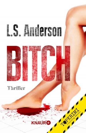 Cover of the book Bitch by John Katzenbach