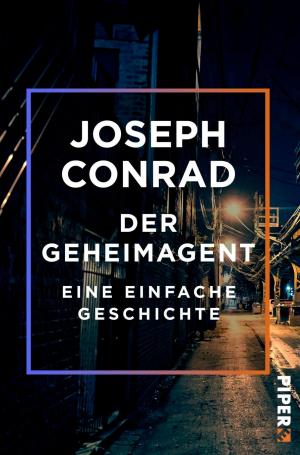 Cover of the book Der Geheimagent by Jennifer Estep