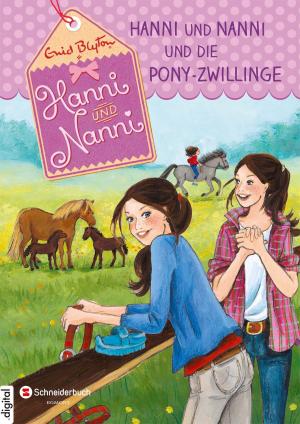 Book cover of Hanni und Nanni, Band 38