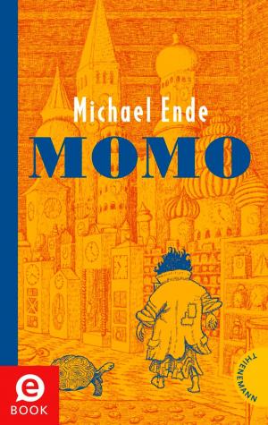 Cover of the book Momo by Christian Humberg, Bernd Perplies