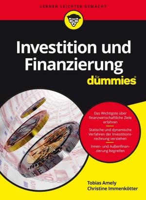 Cover of the book Investition und Finanzierung für Dummies by Sham M. Gad
