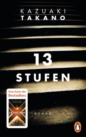 Cover of the book 13 Stufen by Hasnain Kazim
