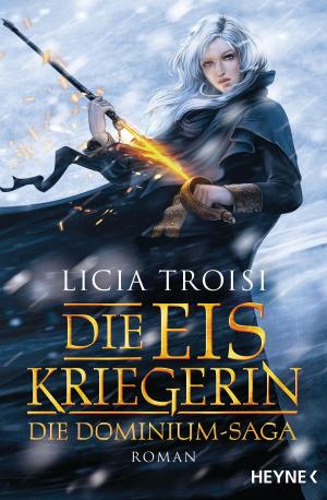 Cover of the book Die Eiskriegerin by Peter David