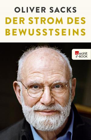 Cover of the book Der Strom des Bewusstseins by Chris Heath
