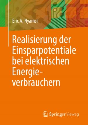 Cover of the book Realisierung der Einsparpotentiale bei elektrischen Energieverbrauchern by Reinhard Ematinger, Sandra Schulze
