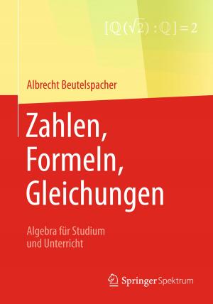 Cover of the book Zahlen, Formeln, Gleichungen by Dieter Guicking