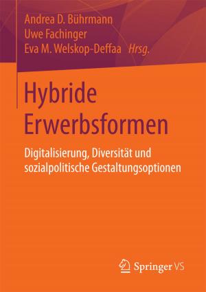Cover of the book Hybride Erwerbsformen by Mark Broere