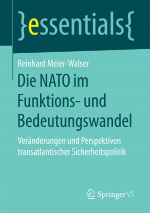 Cover of the book Die NATO im Funktions- und Bedeutungswandel by Sylja Wandschneider, Eva Groß, Manuela Freiheit, Wilhelm Heitmeyer