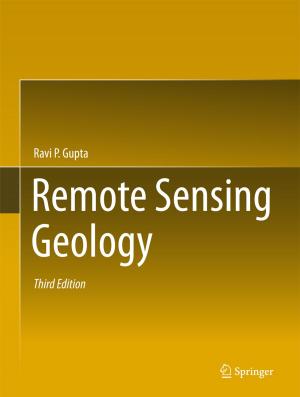 Cover of the book Remote Sensing Geology by Chittaranjan Dhurat