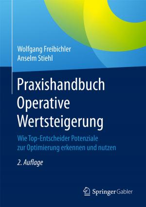 Cover of the book Praxishandbuch Operative Wertsteigerung by Hannu Christian Wichterich